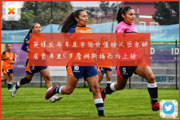 英媒发布年度市场价值榜汉密尔顿居首库里C罗詹姆斯梅西均上榜